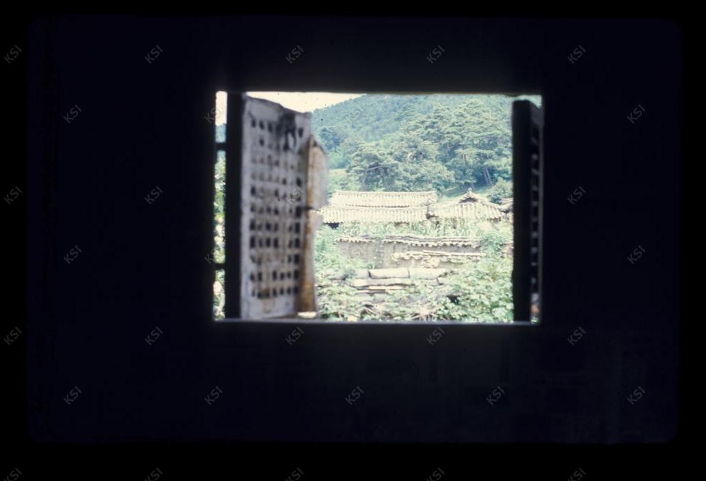 1975년 의인
