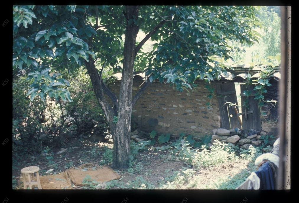 1975년 의인