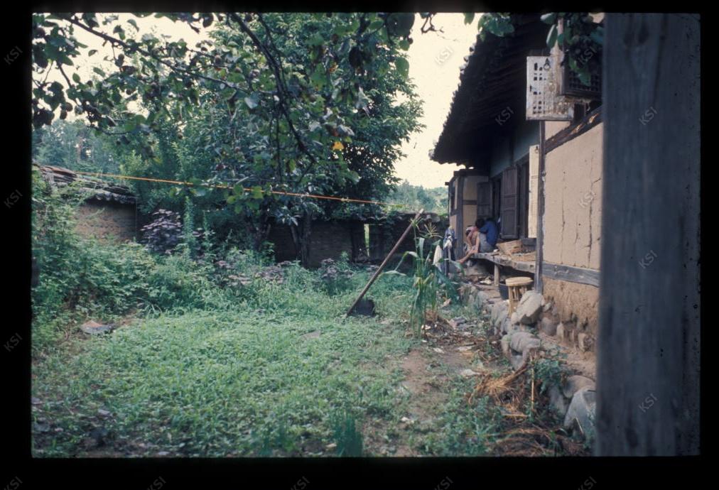 1975년 의인