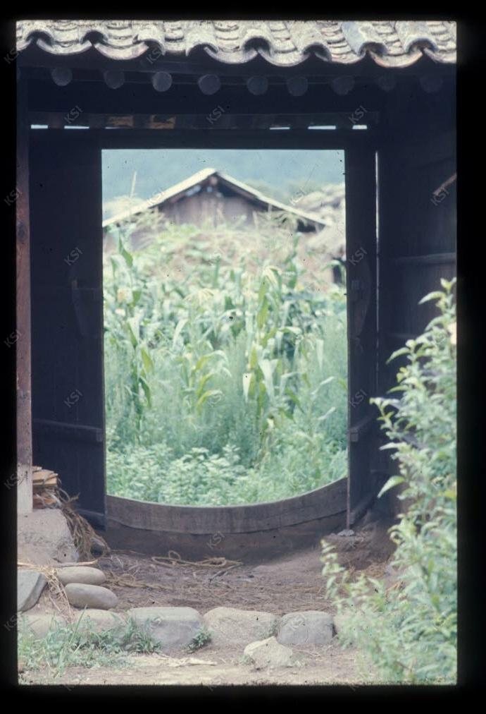 1975년 의인