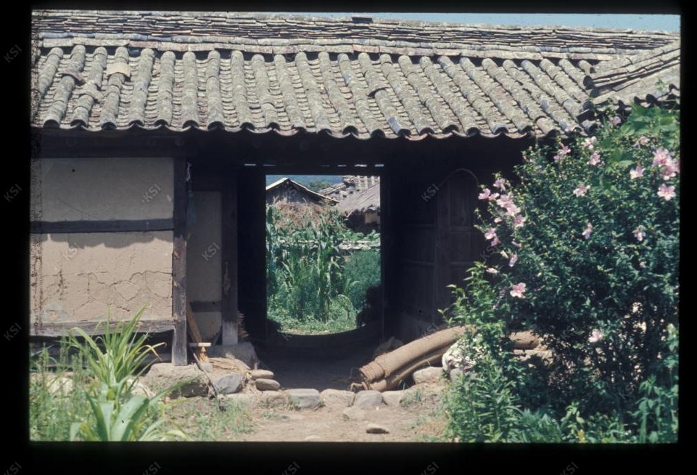 1975년 의인