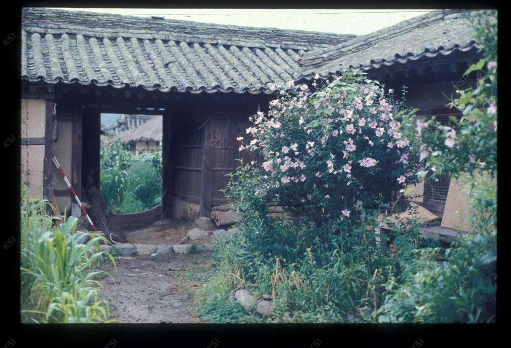 1975년 의인