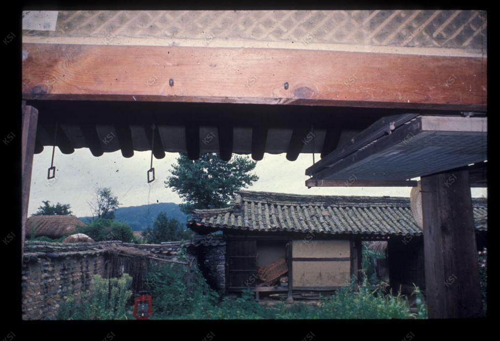 1975년 의인