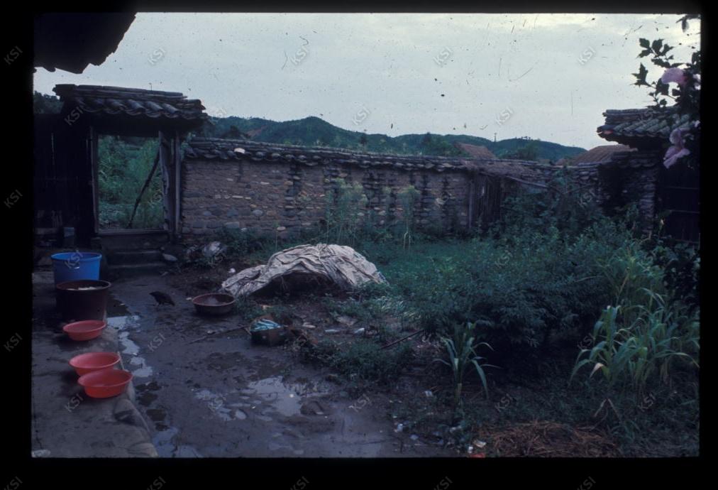 1975년 의인