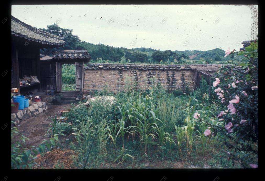 1975년 의인