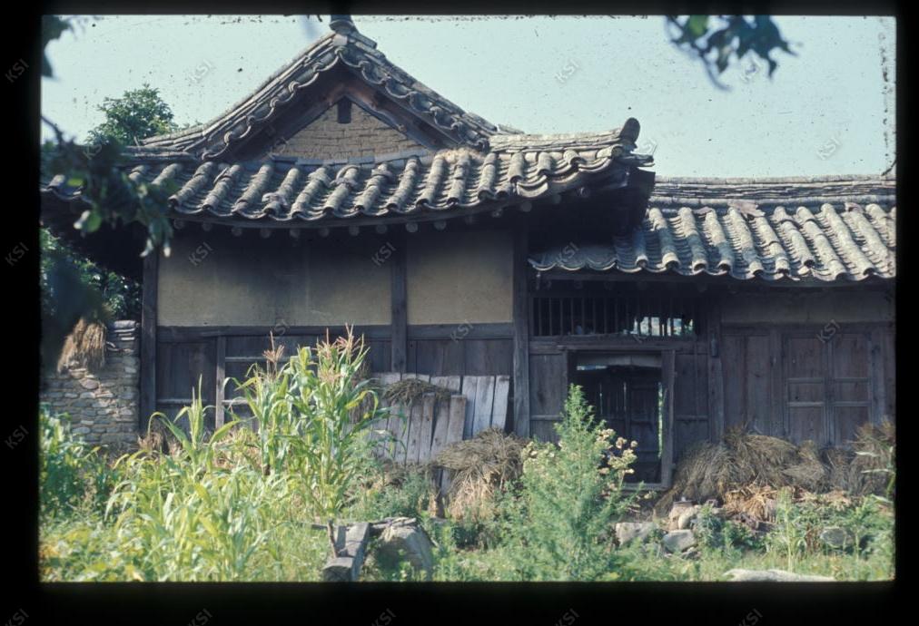 1975년 의인