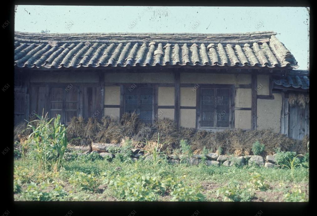 1975년 의인