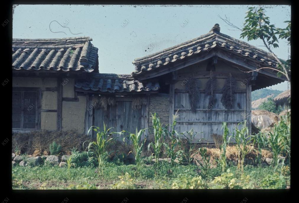 1975년 의인