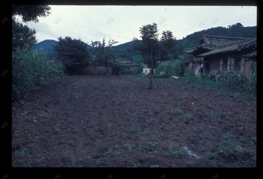 1975년 의인