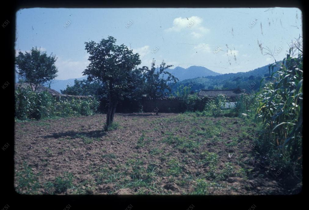 1975년 의인