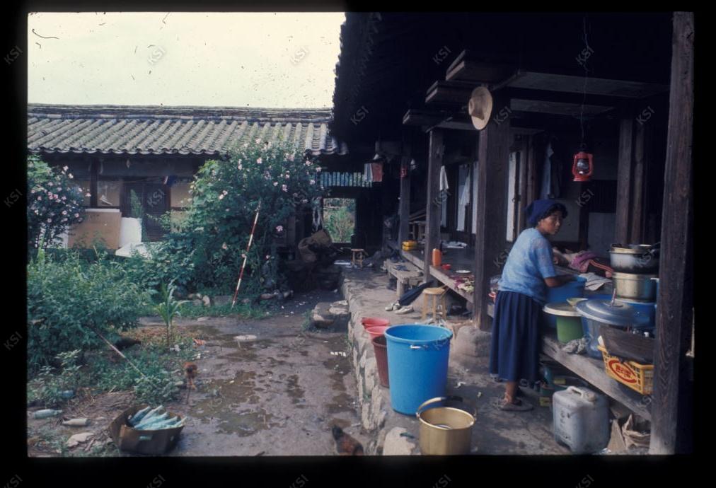 1975년 의인