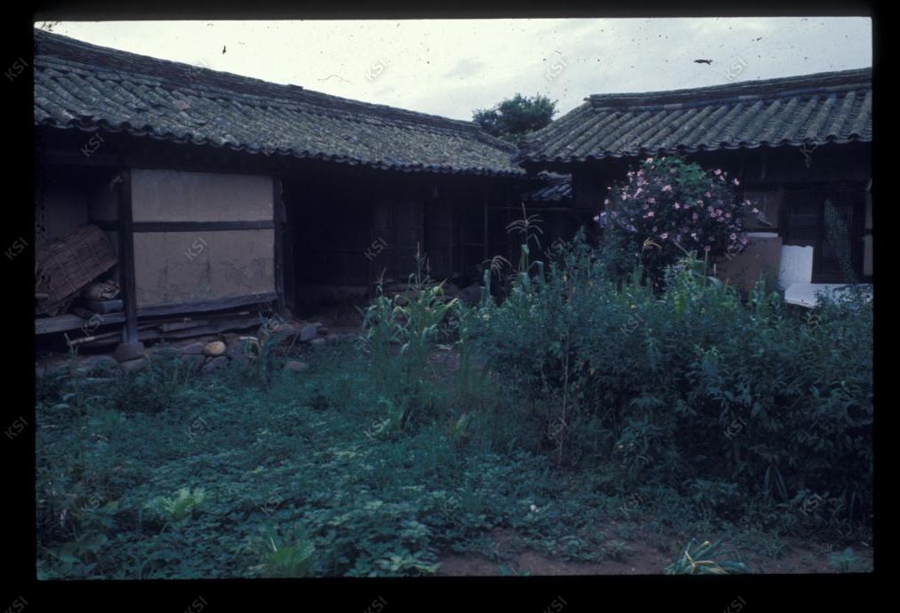 1975년 의인