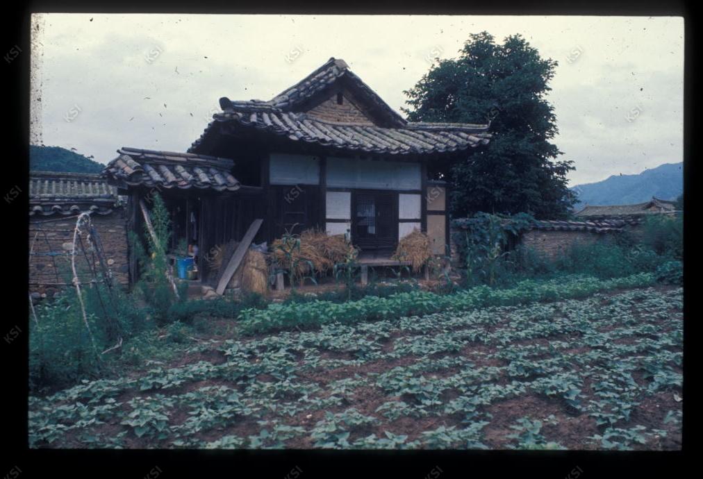 1975년 의인