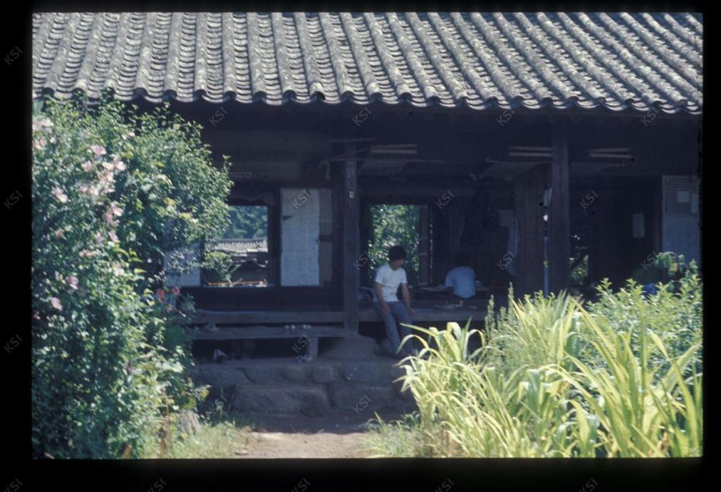 1975년 의인