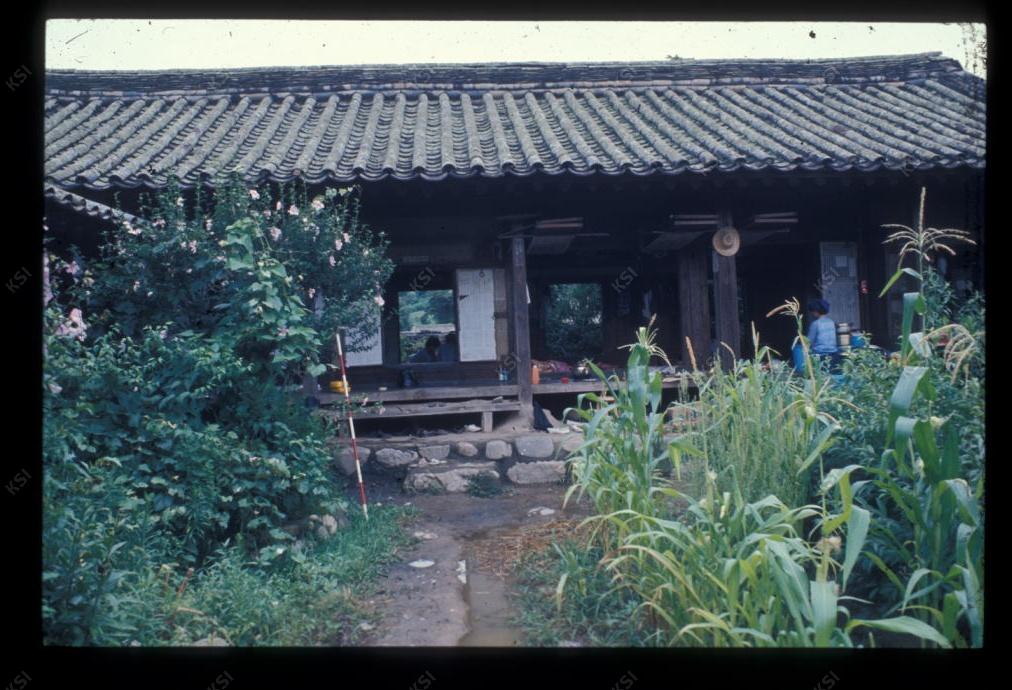 1975년 의인