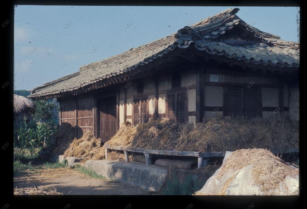 1975년 의인