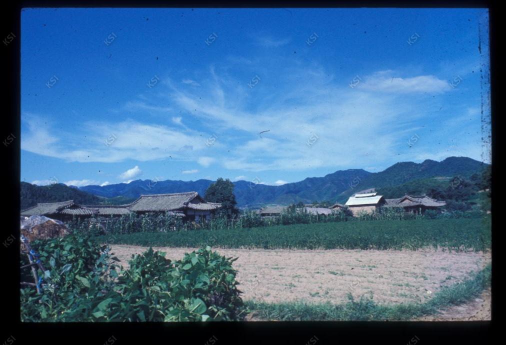 1975년 의인
