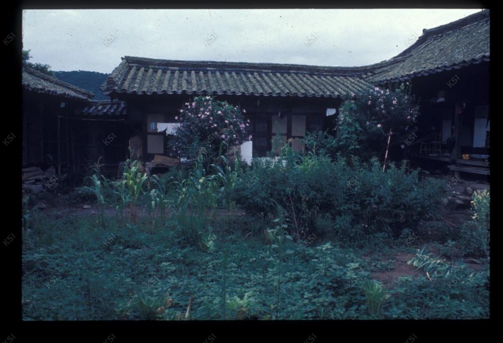 1975년 의인