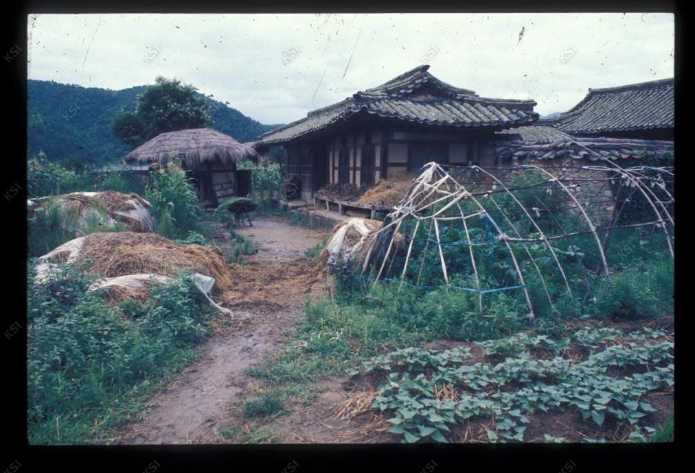 1975년 의인