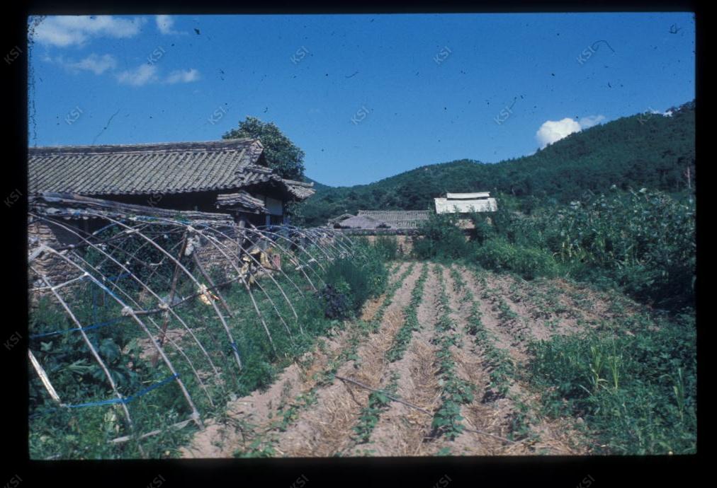 1975년 의인