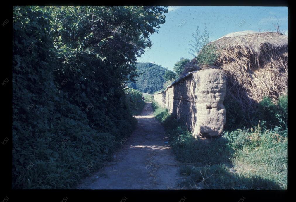 1975년 의인