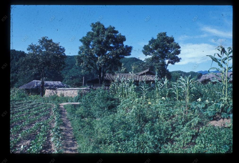 1975년 의인