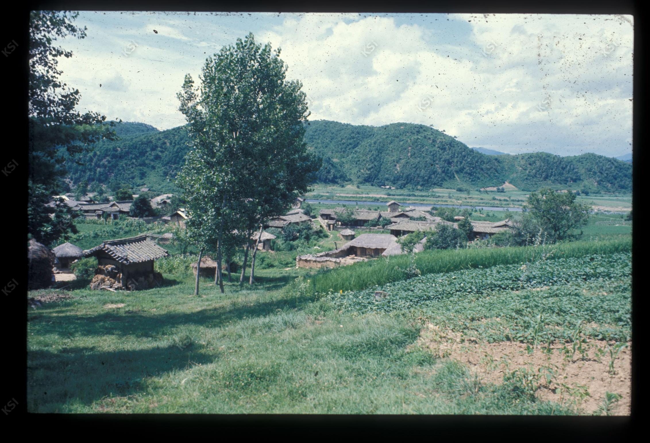 1975년 의인