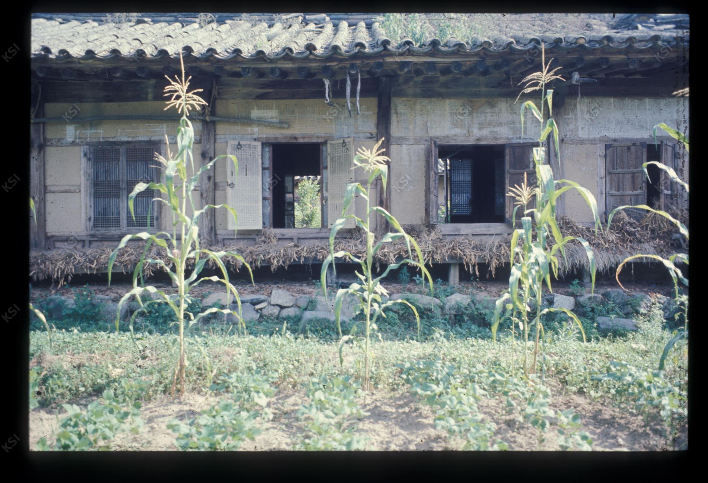 1975년 의인
