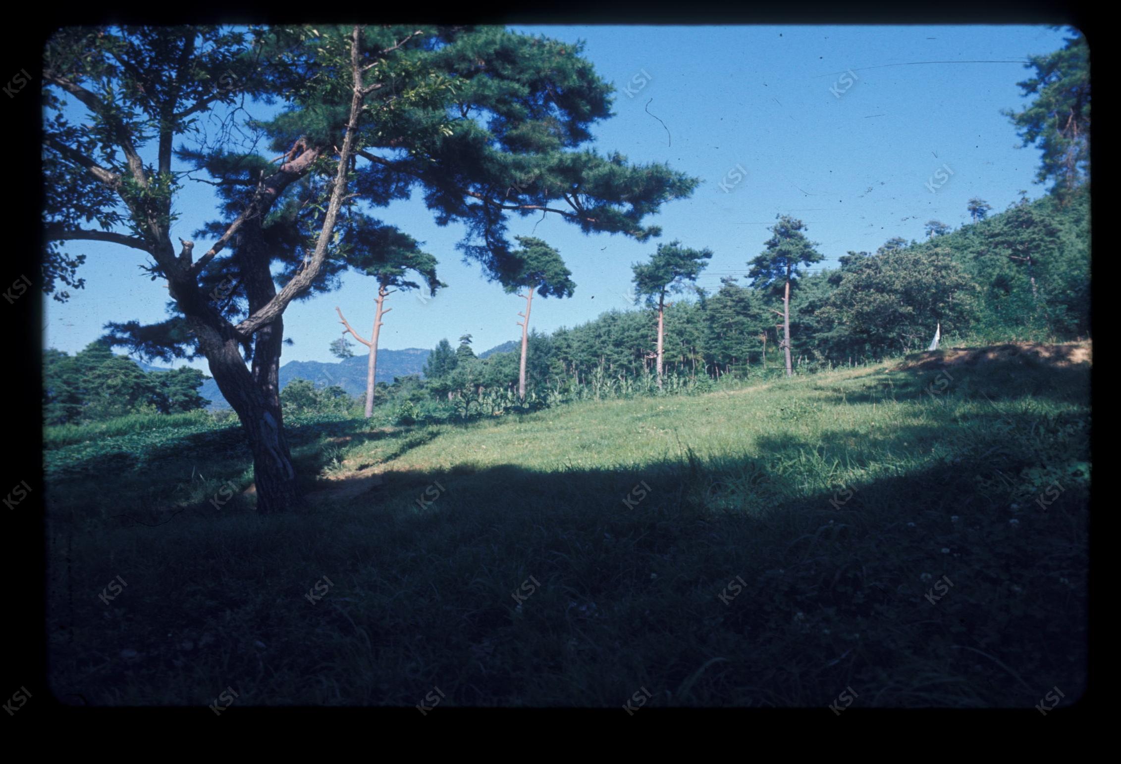 1975년 의인