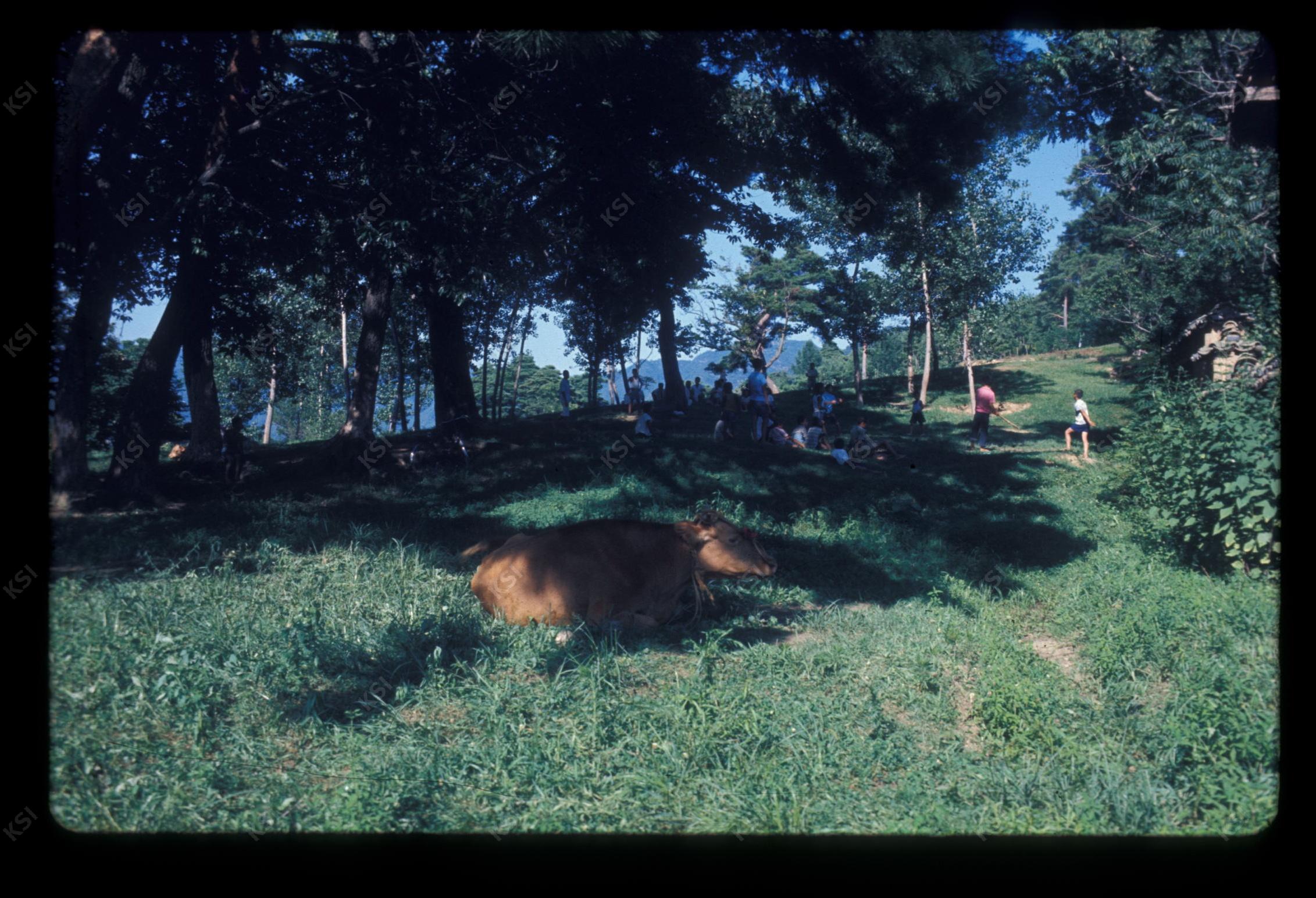 1975년 의인