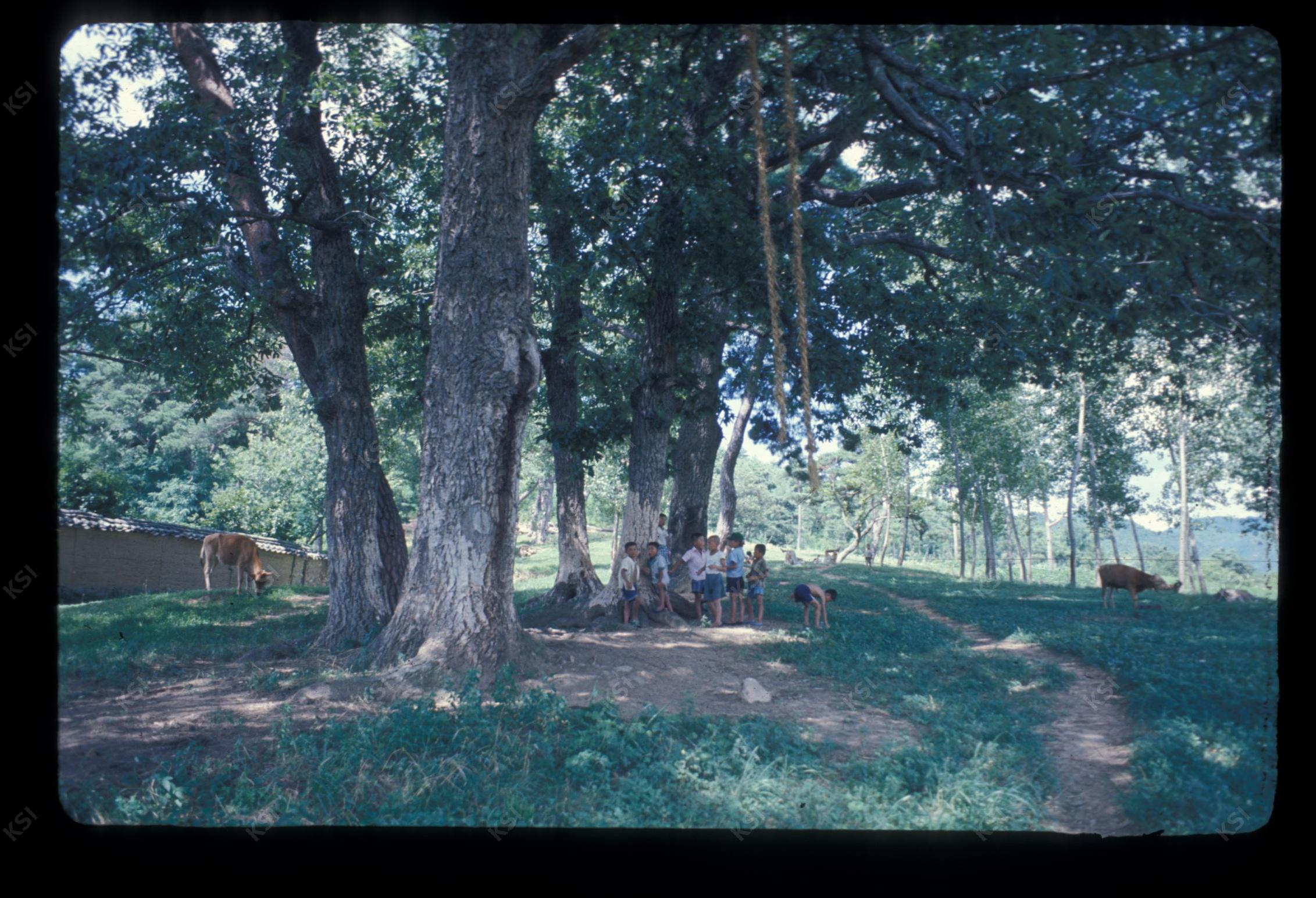 1975년 의인