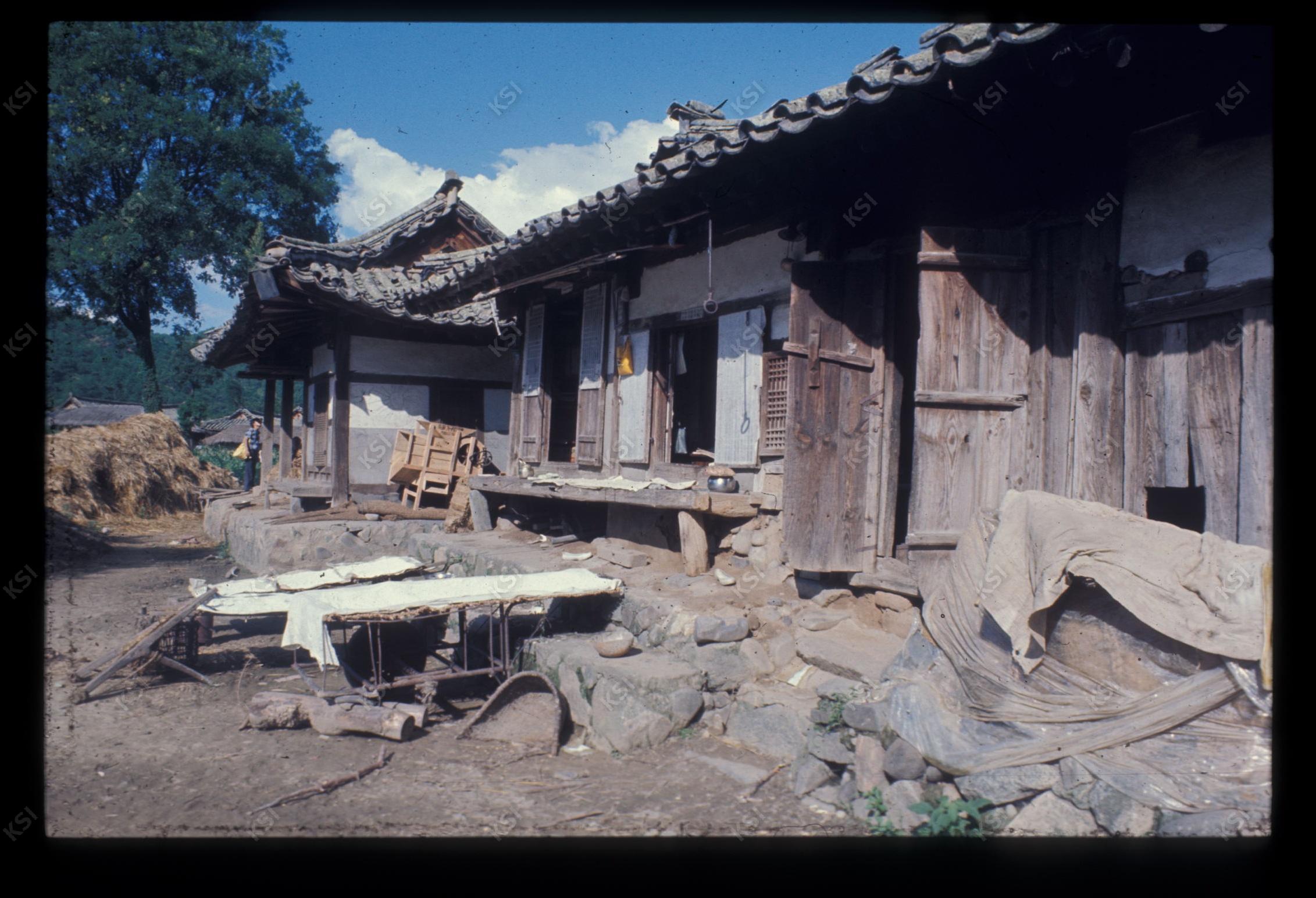 1975년 의인
