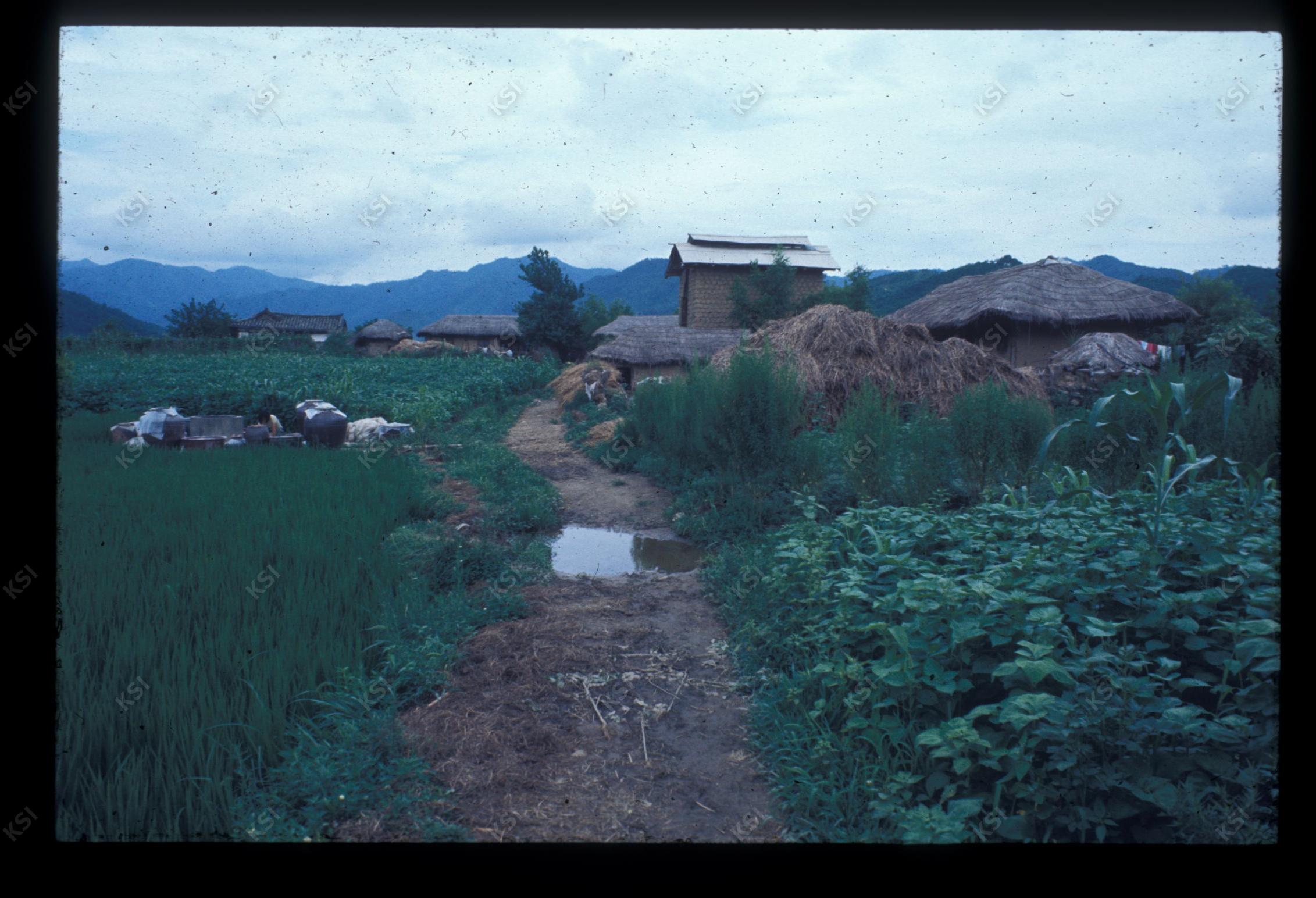1975년 의인