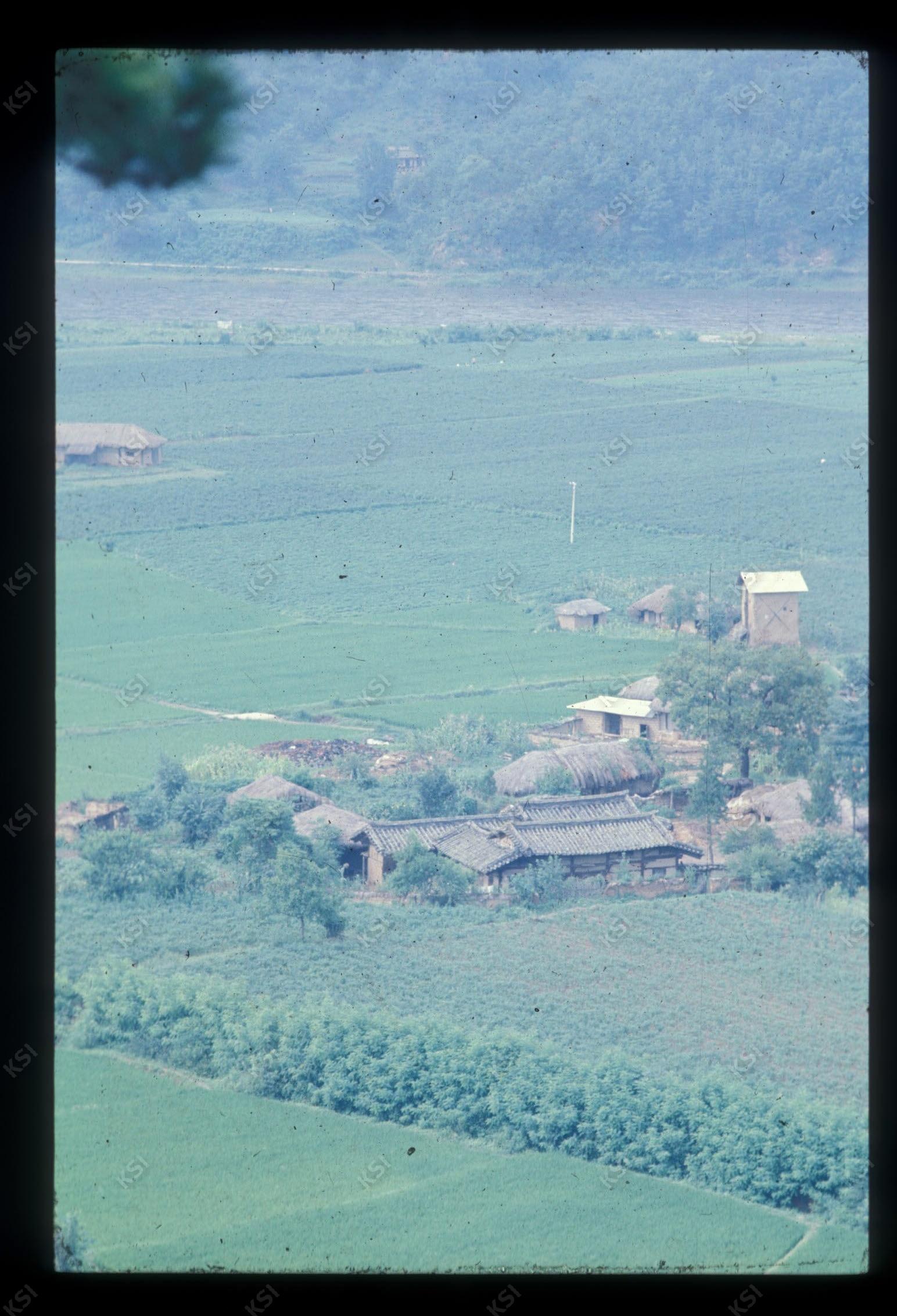 1975년 의인