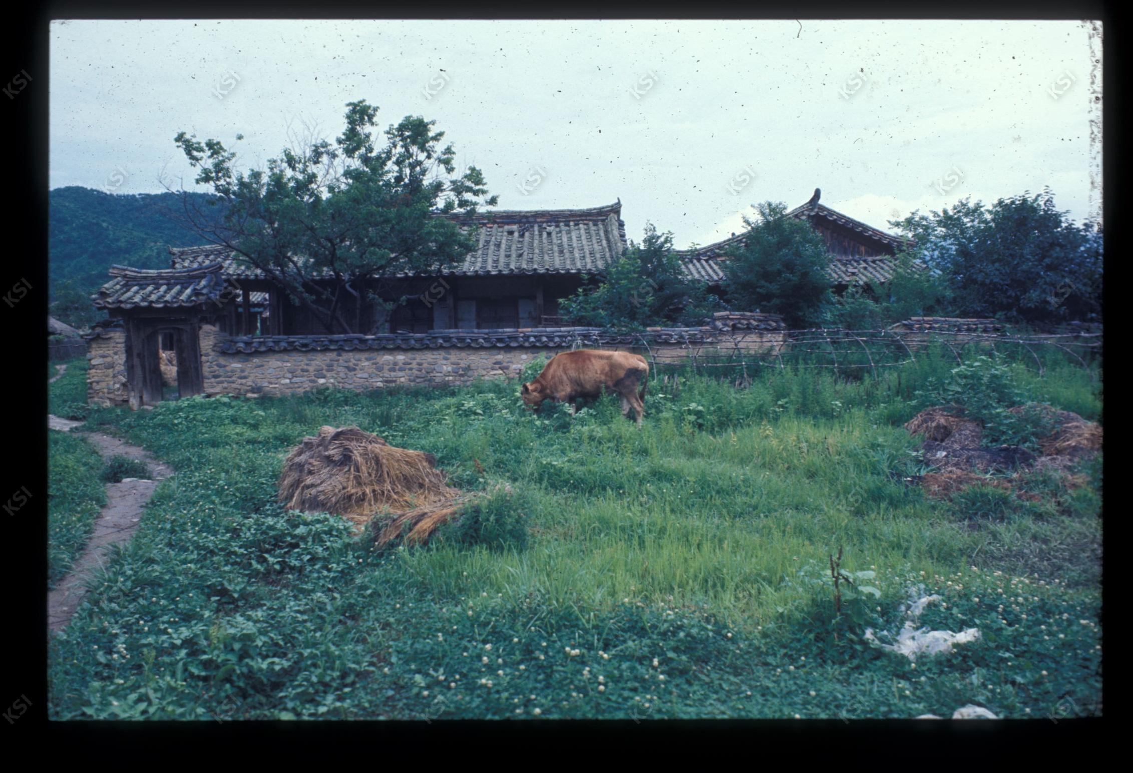 1975년 의인