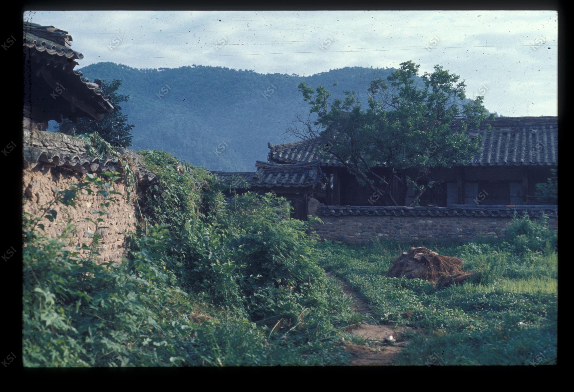 1975년 의인