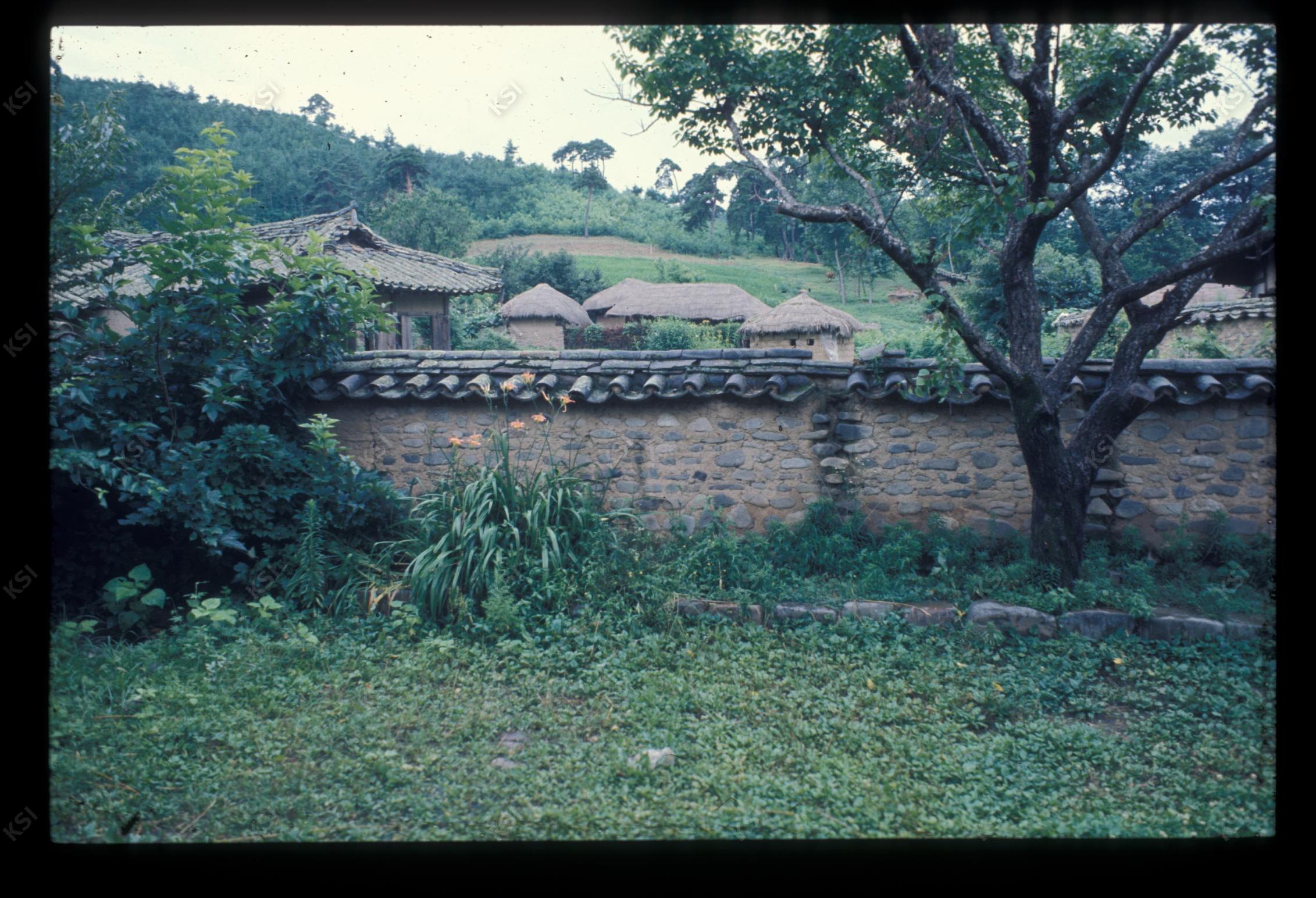 1975년 의인