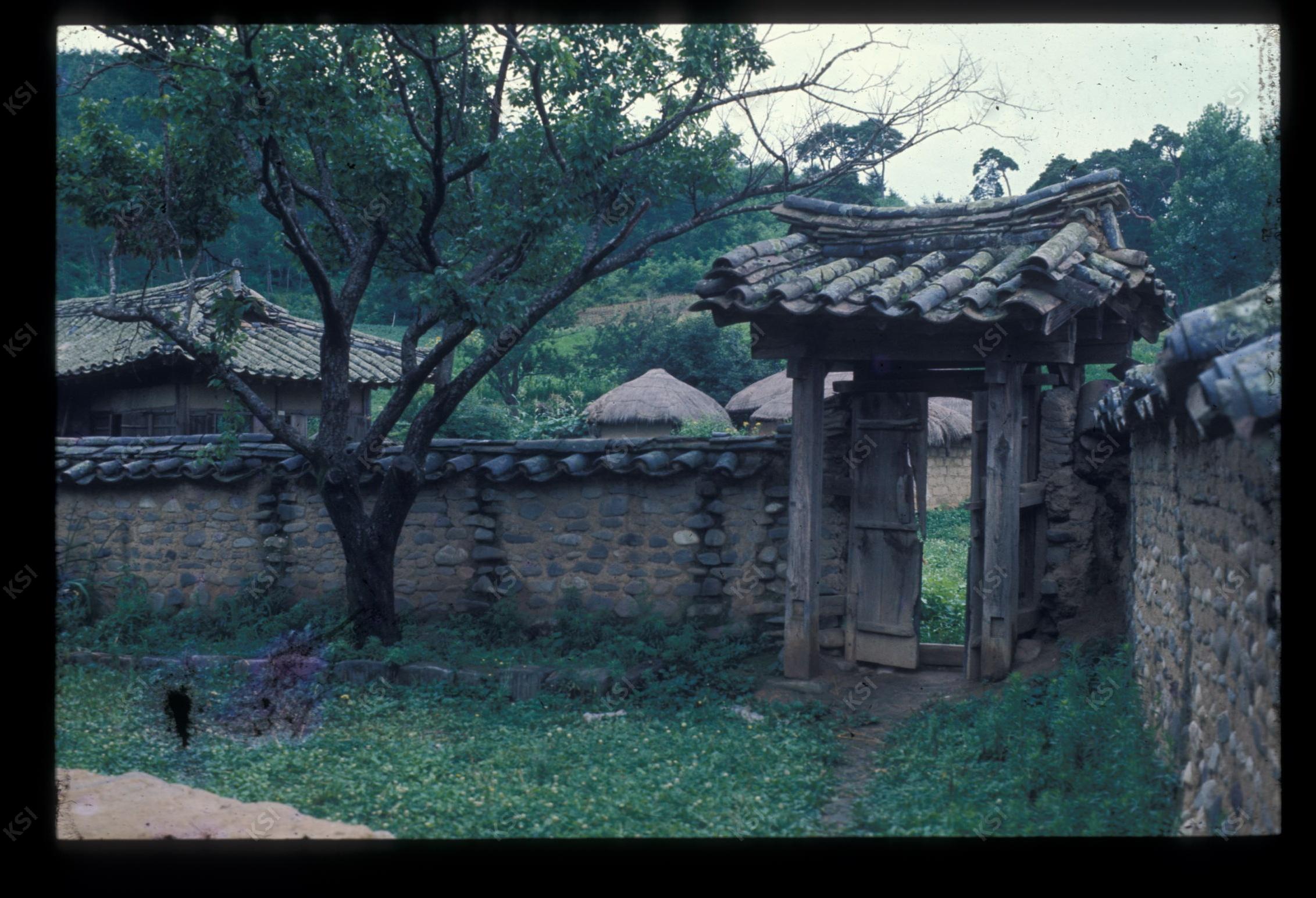 1975년 의인
