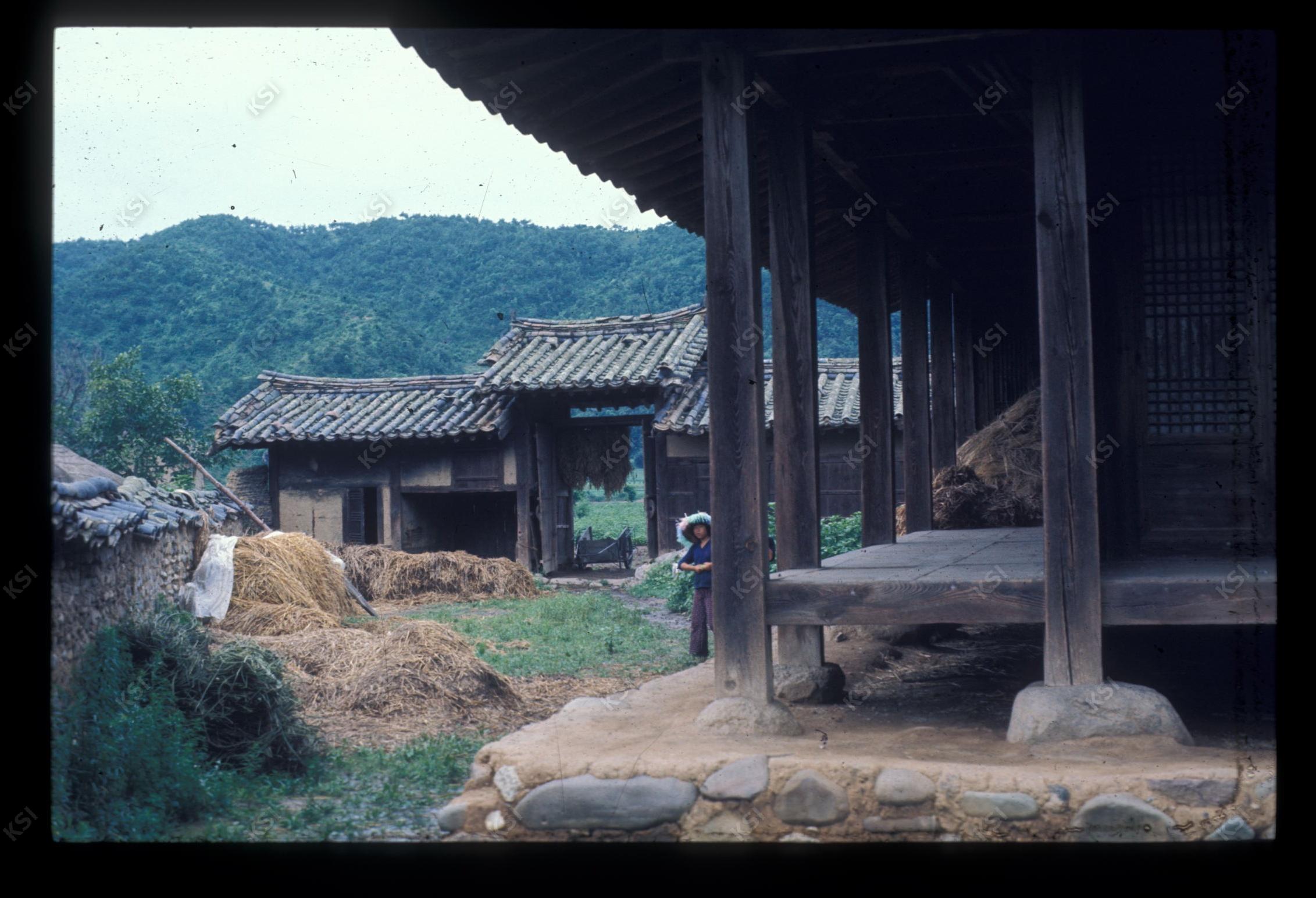 1975년 의인