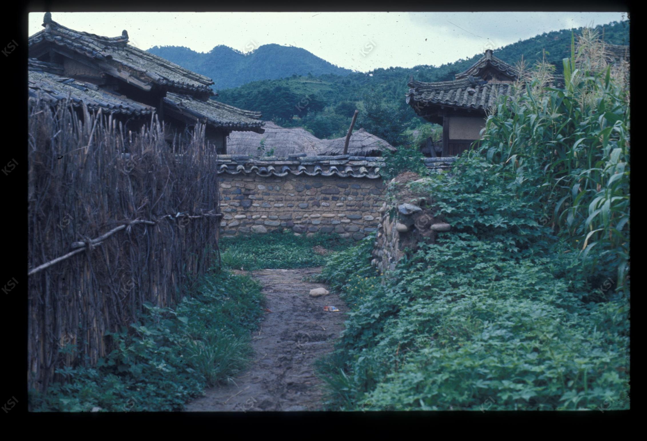 1975년 의인