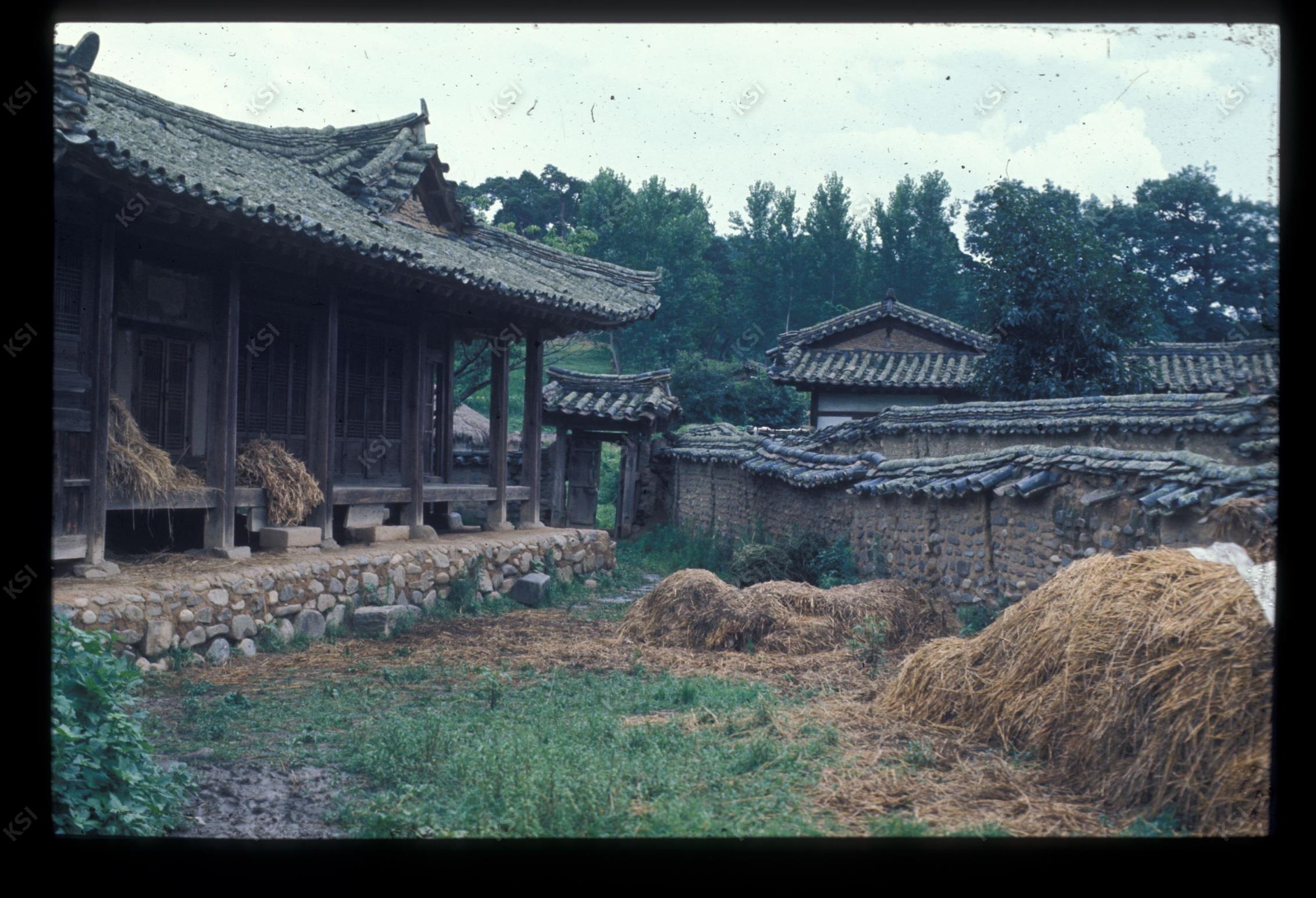 1975년 의인