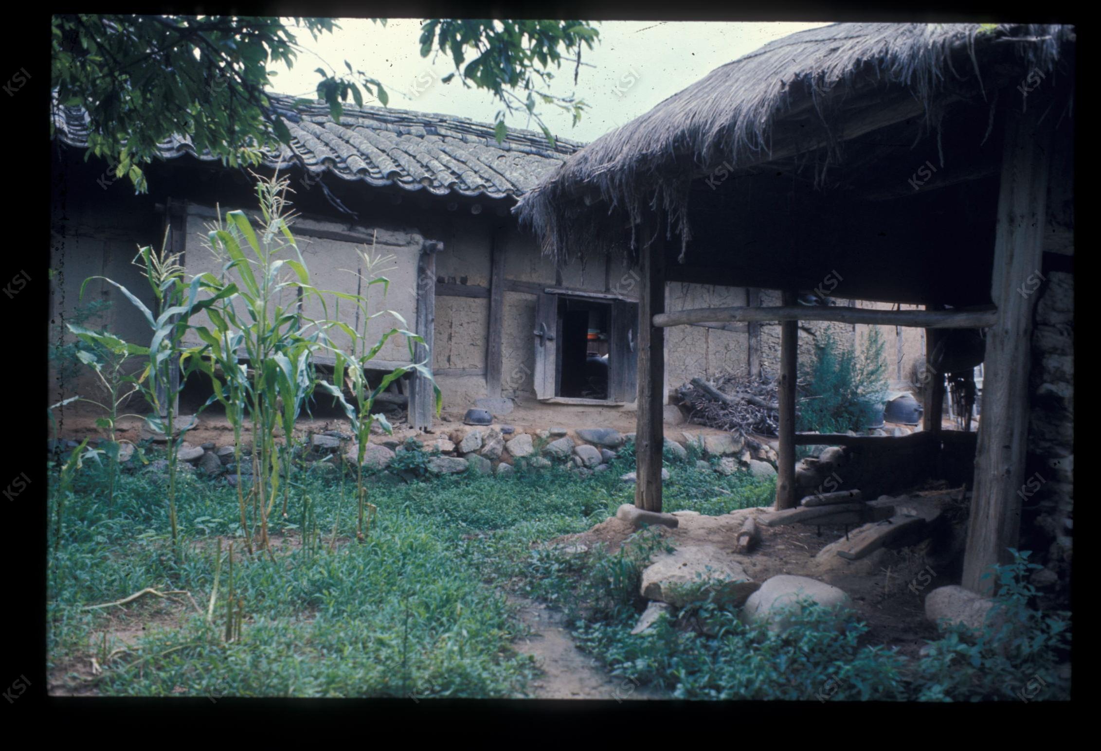1975년 의인