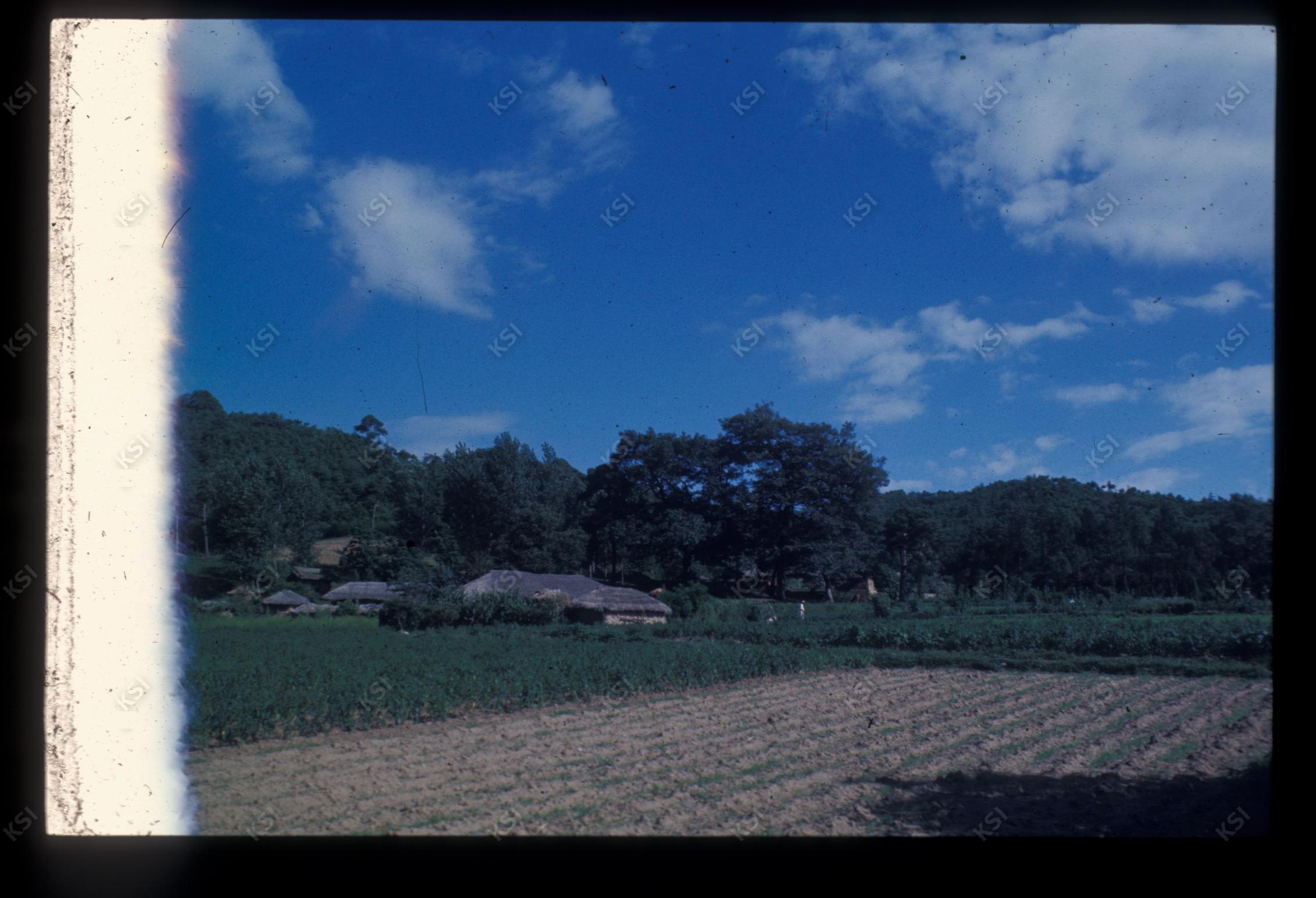1975년 의인
