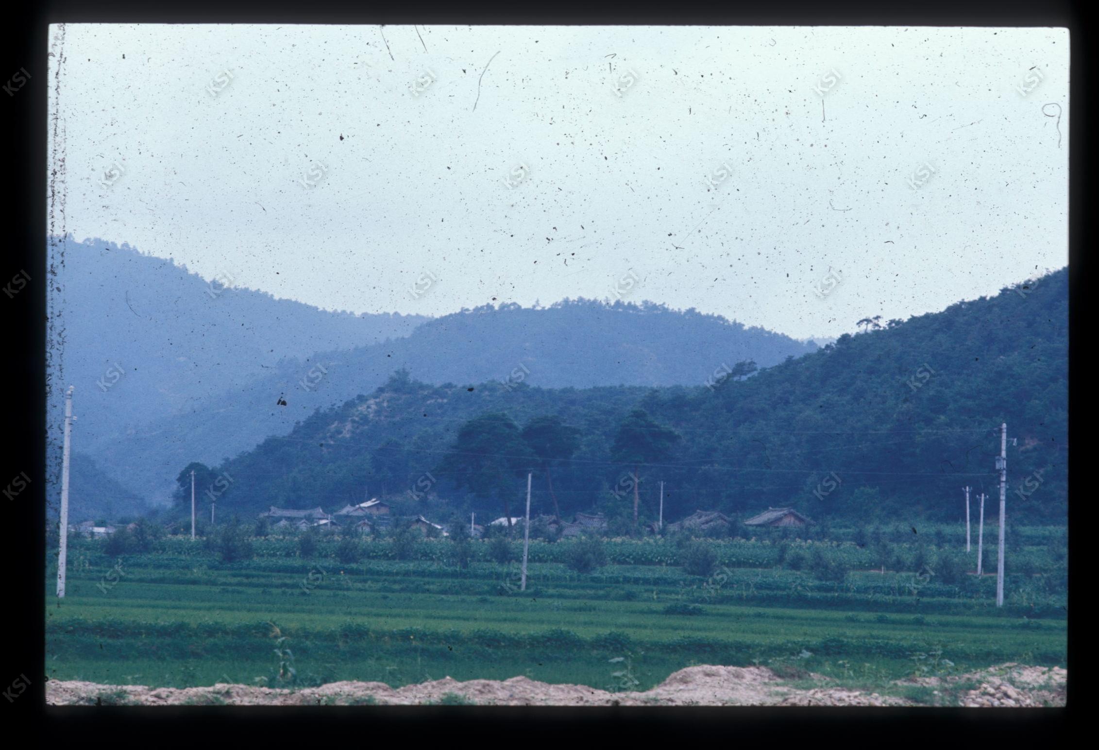 1975년 의인