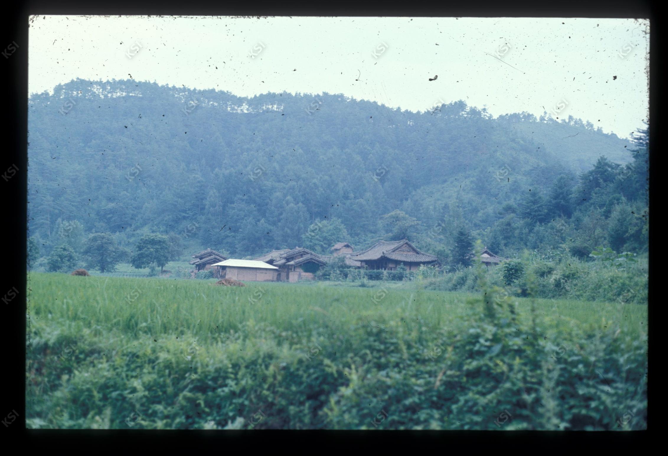 1975년 의인