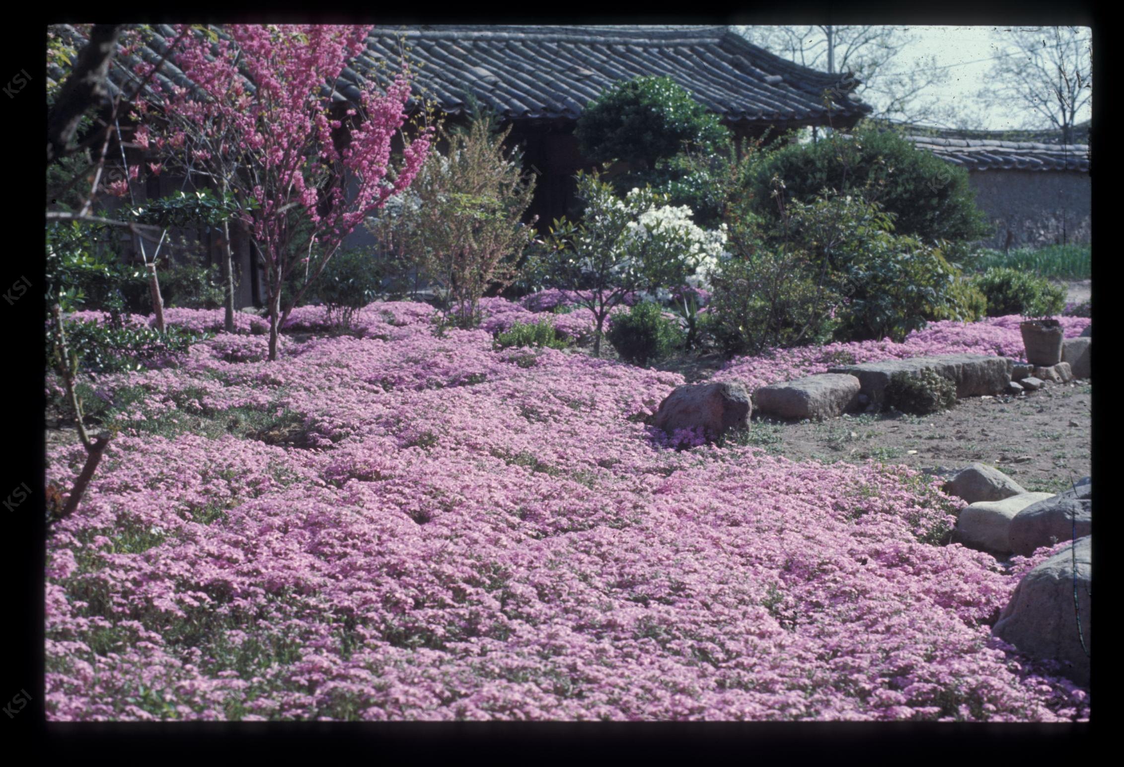 1975년 의인