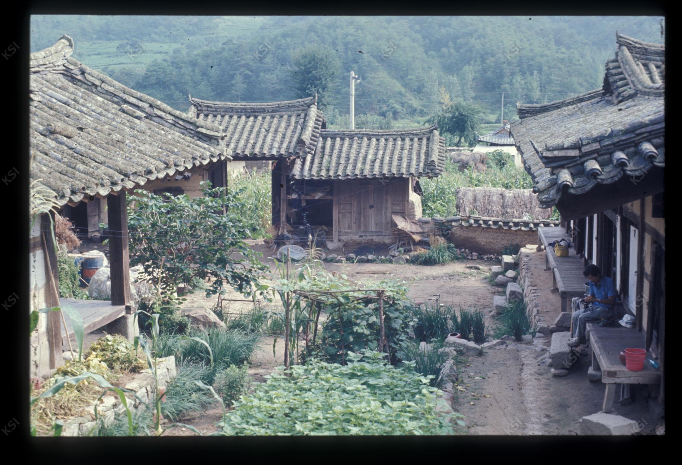 1975년 의인