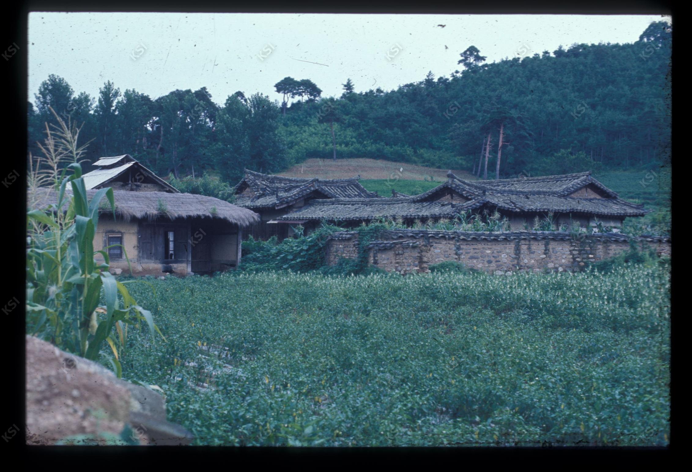 1975년 의인
