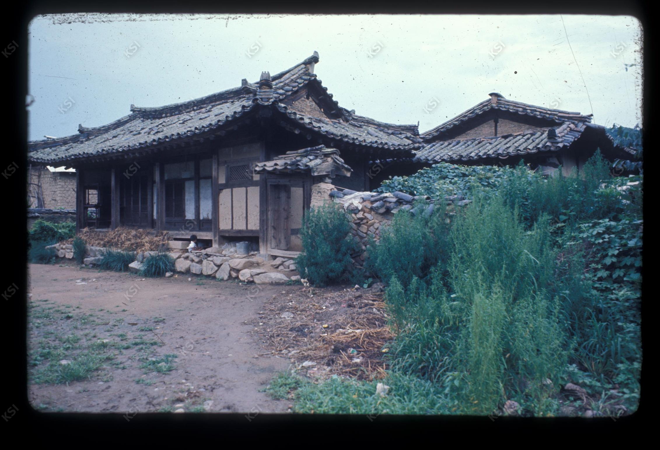 1975년 의인