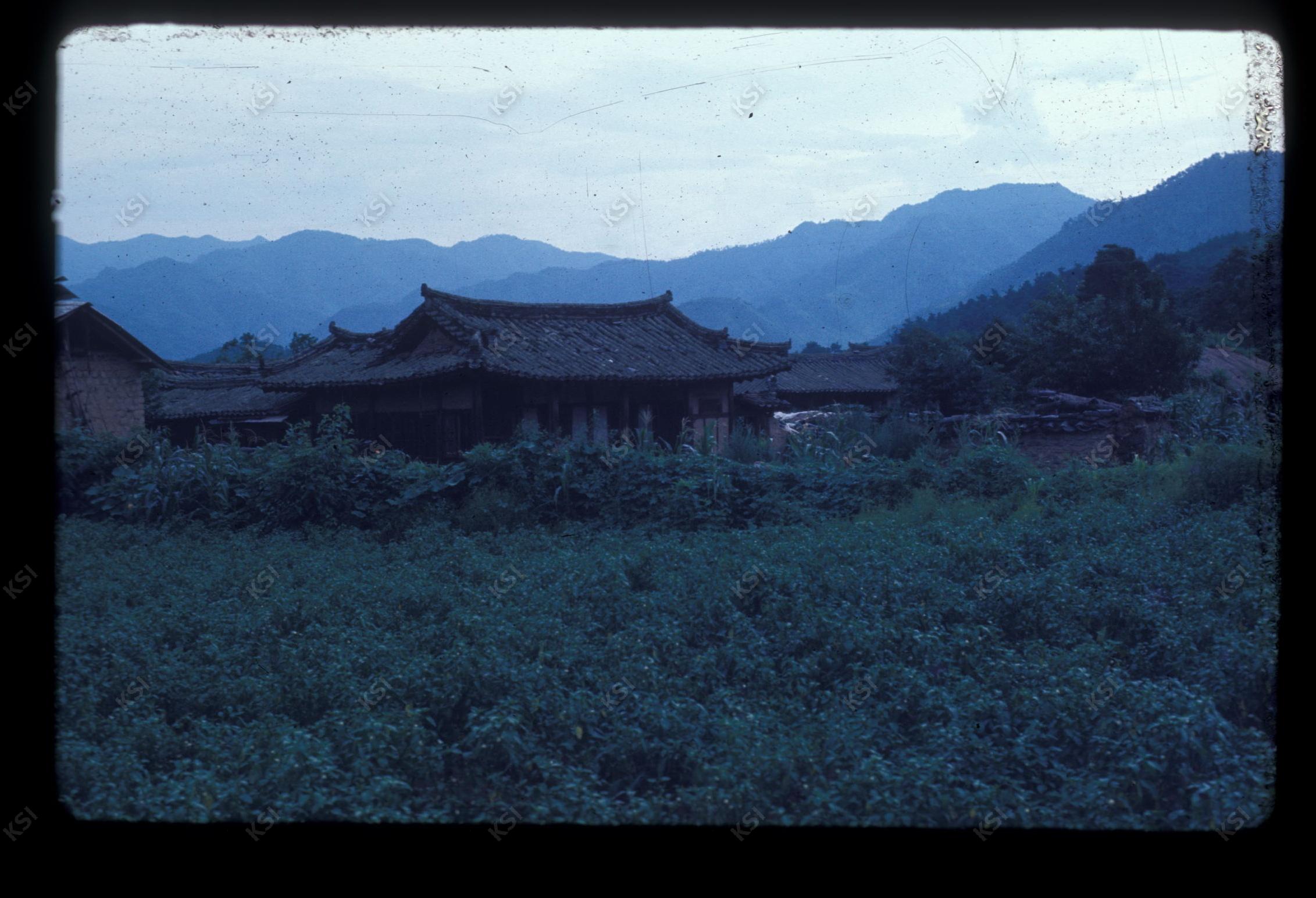 1975년 의인